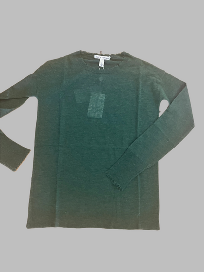 Autumn Cashmere Sheer Distressed Crew in pickle